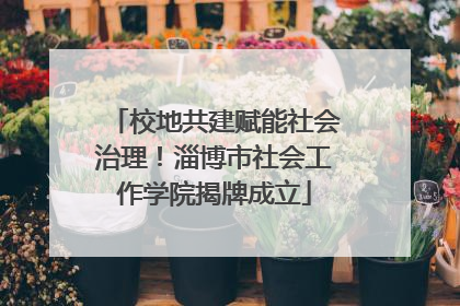 校地共建赋能社会治理！淄博市社会工作学院揭牌成立