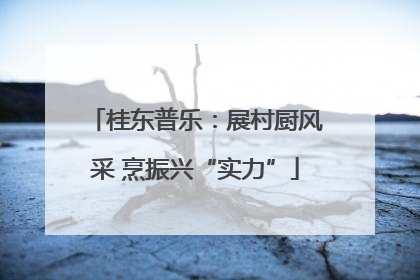 桂东普乐：展村厨风采 烹振兴“实力”