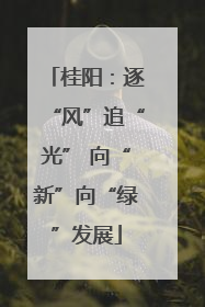 桂阳：逐“风”追“光” 向“新”向“绿”发展
