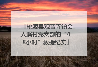 桃源县观音寺镇会人溪村党支部的“48小时”救援纪实
