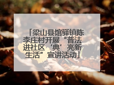 梁山县馆驿镇陈李庄村开展“普法进社区‘典’亮新生活”宣讲活动