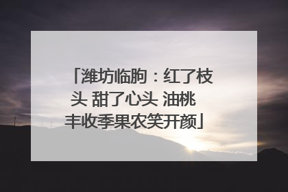 潍坊临朐：红了枝头 甜了心头 油桃丰收季果农笑开颜