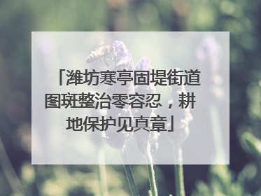 潍坊寒亭固堤街道图斑整治零容忍，耕地保护见真章