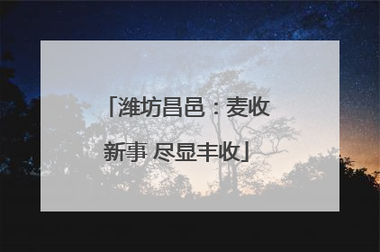 潍坊昌邑：麦收新事 尽显丰收