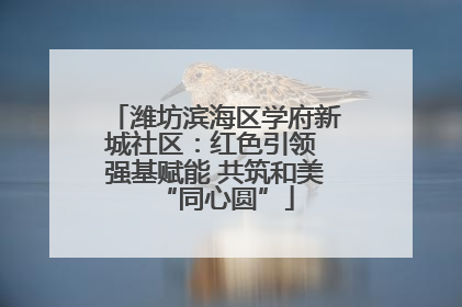 潍坊滨海区学府新城社区：红色引领 强基赋能 共筑和美“同心圆”