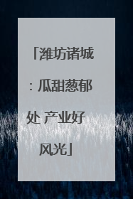 潍坊诸城：瓜甜葱郁处 产业好风光