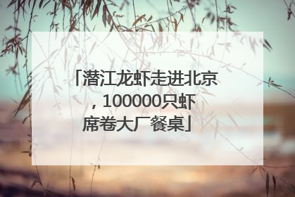 潜江龙虾走进北京，100000只虾席卷大厂餐桌