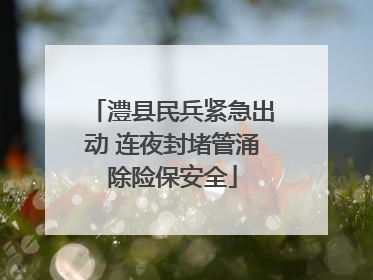 澧县民兵紧急出动 连夜封堵管涌除险保安全