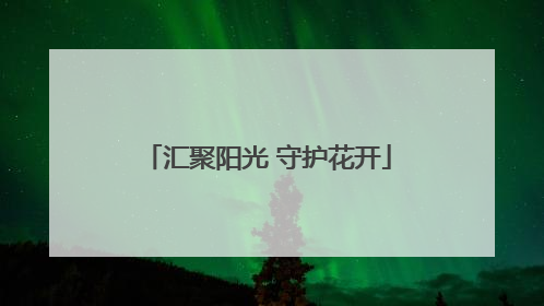 汇聚阳光 守护花开