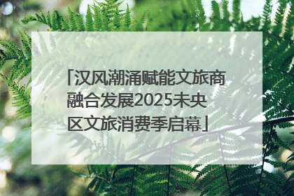汉风潮涌赋能文旅商融合发展2025未央区文旅消费季启幕
