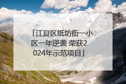 江夏区纸坊街一小区一年逆袭 荣获2024年示范项目
