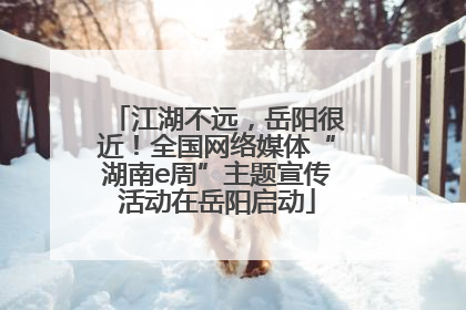江湖不远，岳阳很近！全国网络媒体“湖南e周”主题宣传活动在岳阳启动