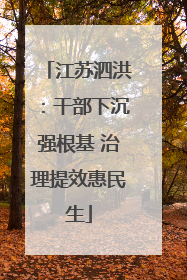 江苏泗洪：干部下沉强根基 治理提效惠民生