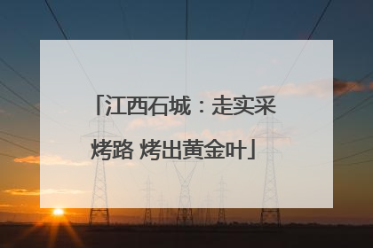 江西石城：走实采烤路 烤出黄金叶