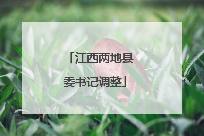 江西两地县委书记调整