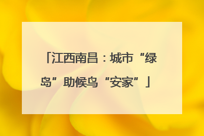 江西南昌：城市“绿岛”助候鸟“安家”