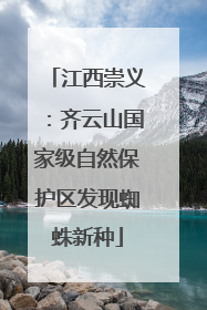 江西崇义：齐云山国家级自然保护区发现蜘蛛新种