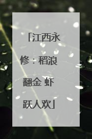 江西永修：稻浪翻金 虾跃人欢
