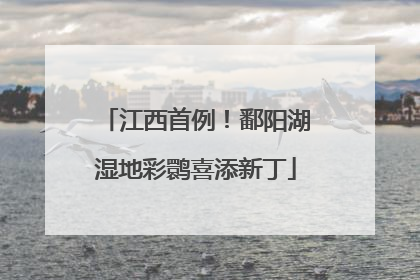 江西首例！鄱阳湖湿地彩鹮喜添新丁