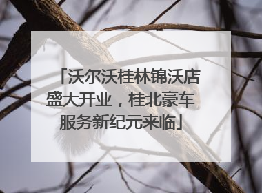 沃尔沃桂林锦沃店盛大开业，桂北豪车服务新纪元来临