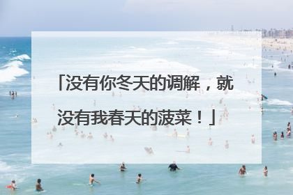 没有你冬天的调解，就没有我春天的菠菜！