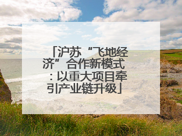 沪苏“飞地经济”合作新模式：以重大项目牵引产业链升级