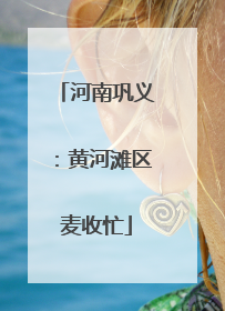 河南巩义：黄河滩区麦收忙
