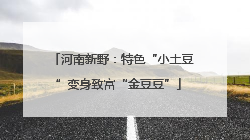 河南新野：特色“小土豆”变身致富“金豆豆”