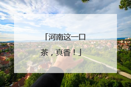 河南这一口茶，真香！