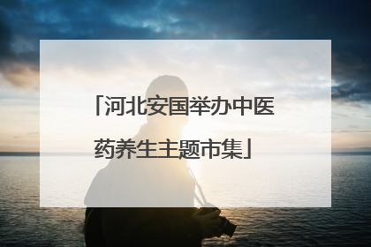 河北安国举办中医药养生主题市集