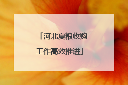 河北夏粮收购工作高效推进