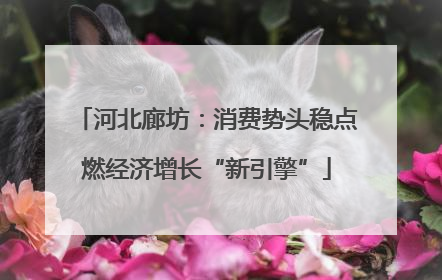 河北廊坊：消费势头稳点燃经济增长“新引擎”