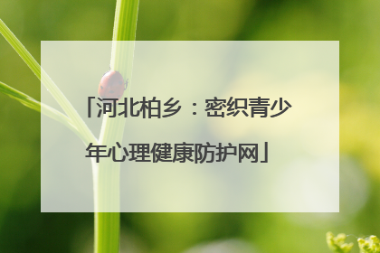 河北柏乡：密织青少年心理健康防护网