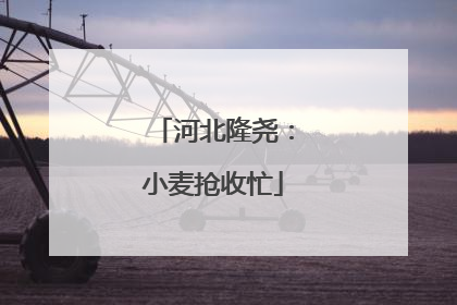 河北隆尧：小麦抢收忙