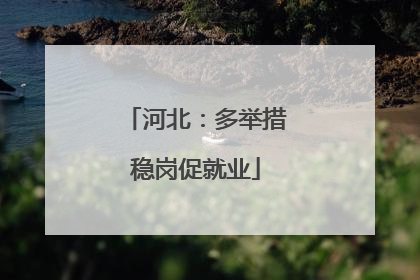 河北：多举措稳岗促就业