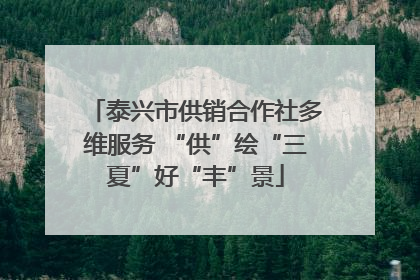 泰兴市供销合作社多维服务 “供”绘“三夏”好“丰”景