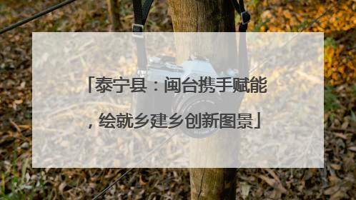 泰宁县：闽台携手赋能，绘就乡建乡创新图景