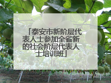 泰安市新阶层代表人士参加全省新的社会阶层代表人士培训班