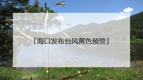 海口发布台风黄色预警