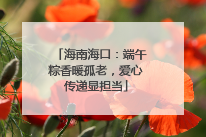 海南海口：端午粽香暖孤老，爱心传递显担当