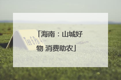海南：山城好物 消费助农