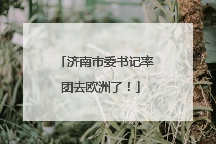 济南市委书记率团去欧洲了！