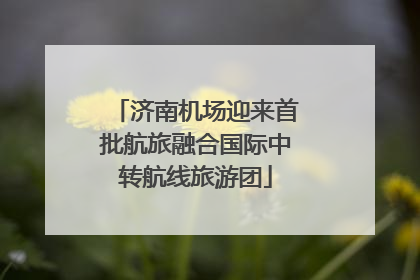 济南机场迎来首批航旅融合国际中转航线旅游团