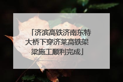 济滨高铁济南东特大桥下穿济莱高铁架梁施工顺利完成