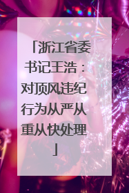 浙江省委书记王浩：对顶风违纪行为从严从重从快处理