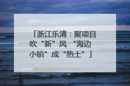 浙江乐清：聚项目吹“新”风 “海边小镇”成“热土”