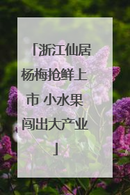 浙江仙居杨梅抢鲜上市 小水果闯出大产业