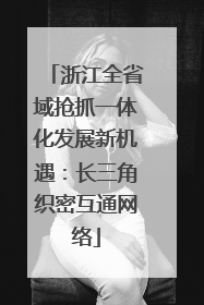浙江全省域抢抓一体化发展新机遇：长三角织密互通网络