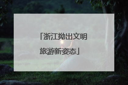浙江拗出文明旅游新姿态