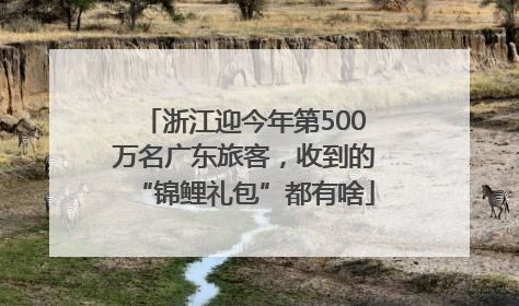 浙江迎今年第500万名广东旅客，收到的“锦鲤礼包”都有啥